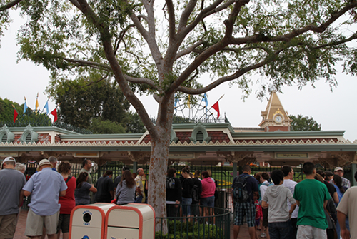 ディズニーランド6