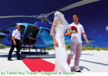 ツパイ島に上陸!