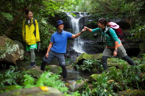 ジャングルリフレッシュ