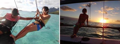 ホビーキャット