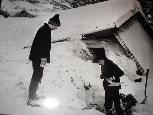 雪で潰れた小屋から救出