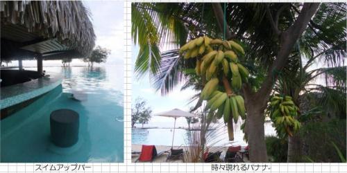 マナバ・スイート・リゾート・タヒチ4