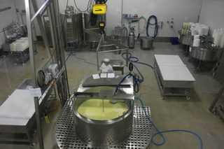 チーズ製造工場