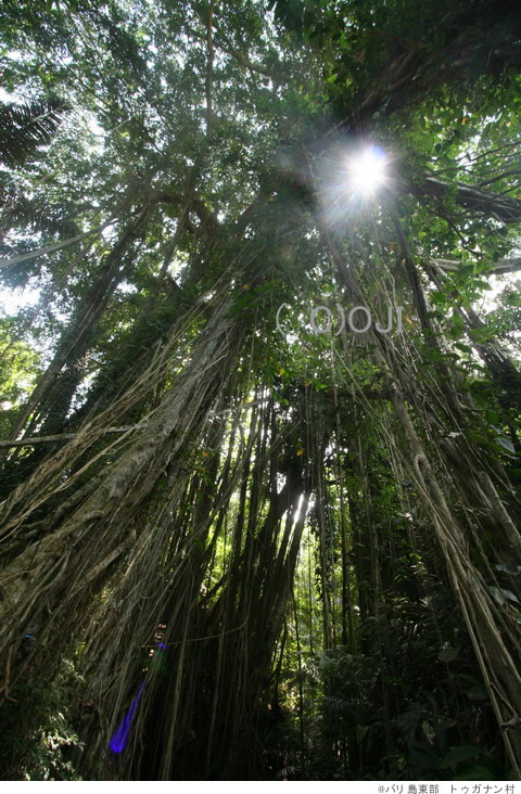@バリ島東部 トゥンガナン村