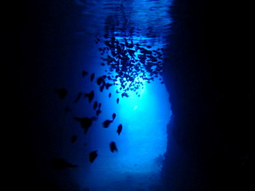 水中の青