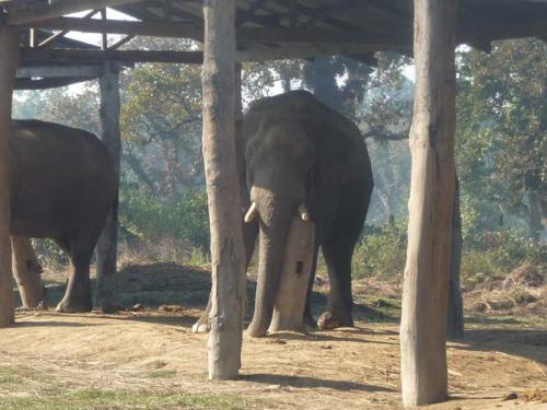 ブリーディング・センター5