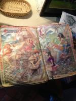 白川郷モデルにした表紙