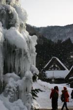 水の掛けて木が凍る