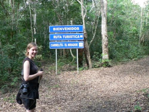 ジャングル入り口