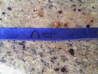 アウラニ・ディズニー・リゾート