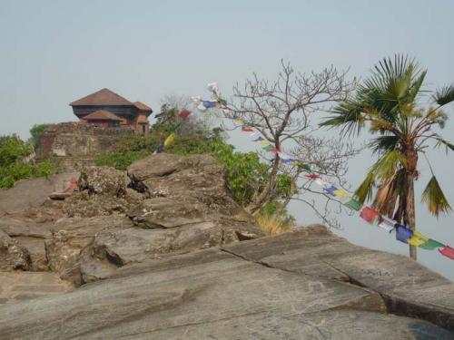 フォトギャラリー3