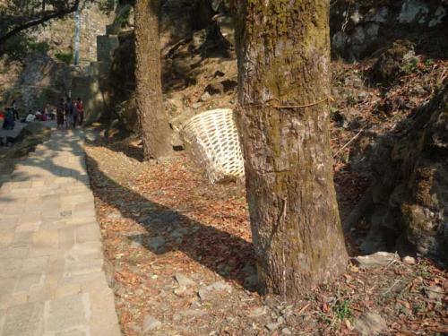 フォトギャラリー17