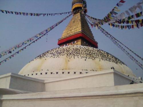 Boudha & Swayambhu4