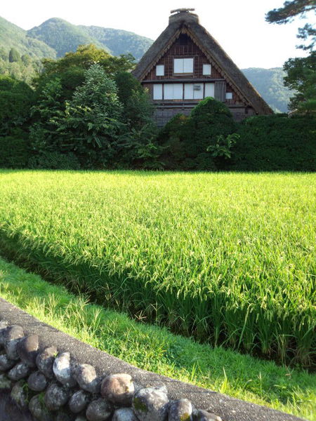 白川郷へ行こう〜?