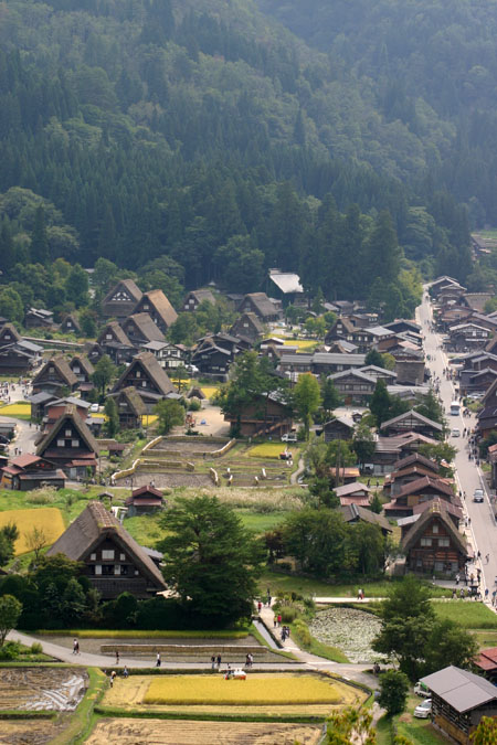 白川郷〜秋の収穫〜稲刈り風景3