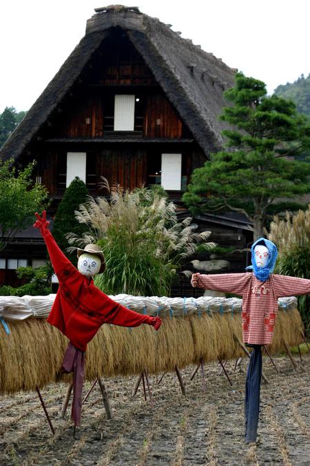 ★秋季〜刈り取った稲 4