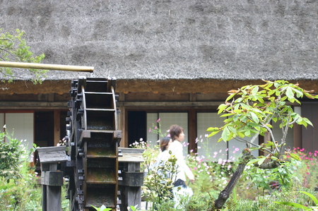 ★秋季〜刈り取った稲 6