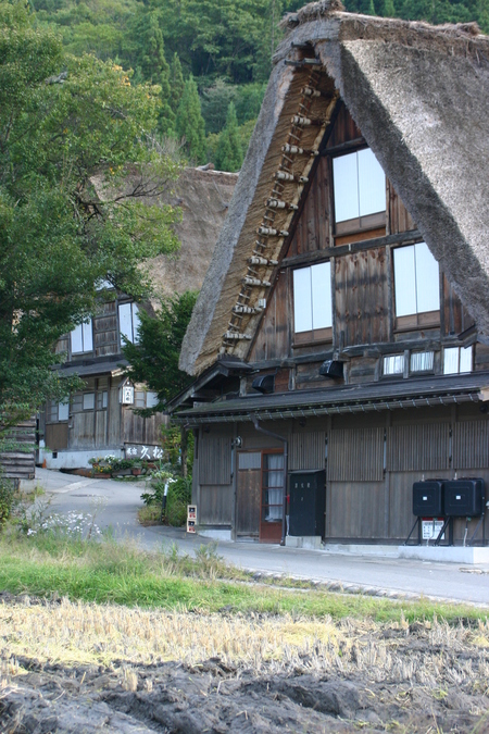 稲こき(脱穀)風景〜6
