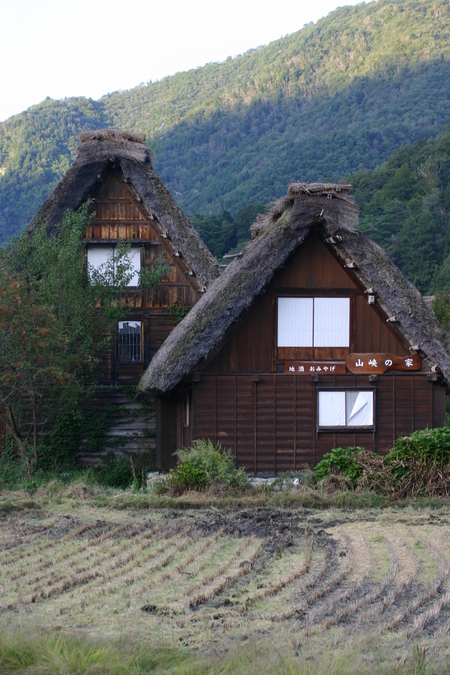 稲こき(脱穀)風景〜7