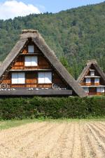 そうだ 秋の景色、見に行こう!11