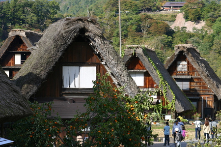☆秋には山から紅葉が駆け足で下り 2