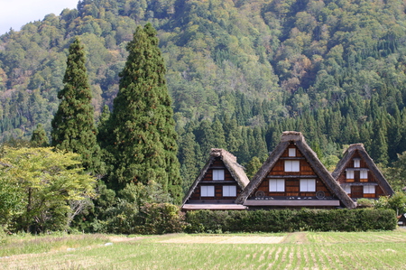 ☆秋には山から紅葉が駆け足で下り 4