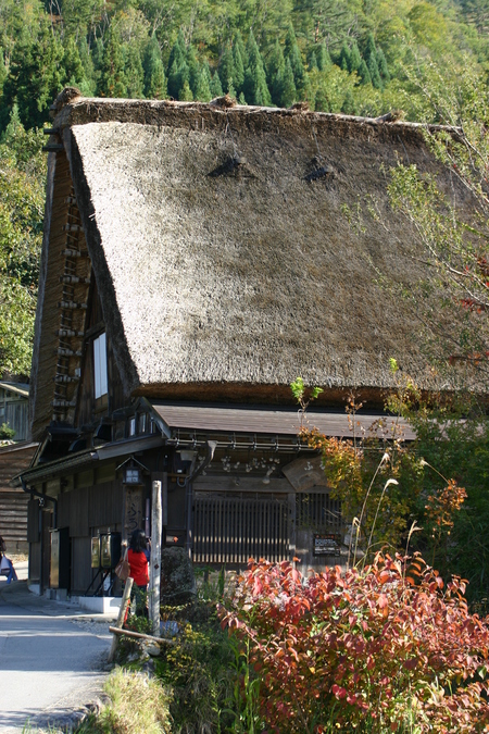 ☆秋には山から紅葉が駆け足で下り 5