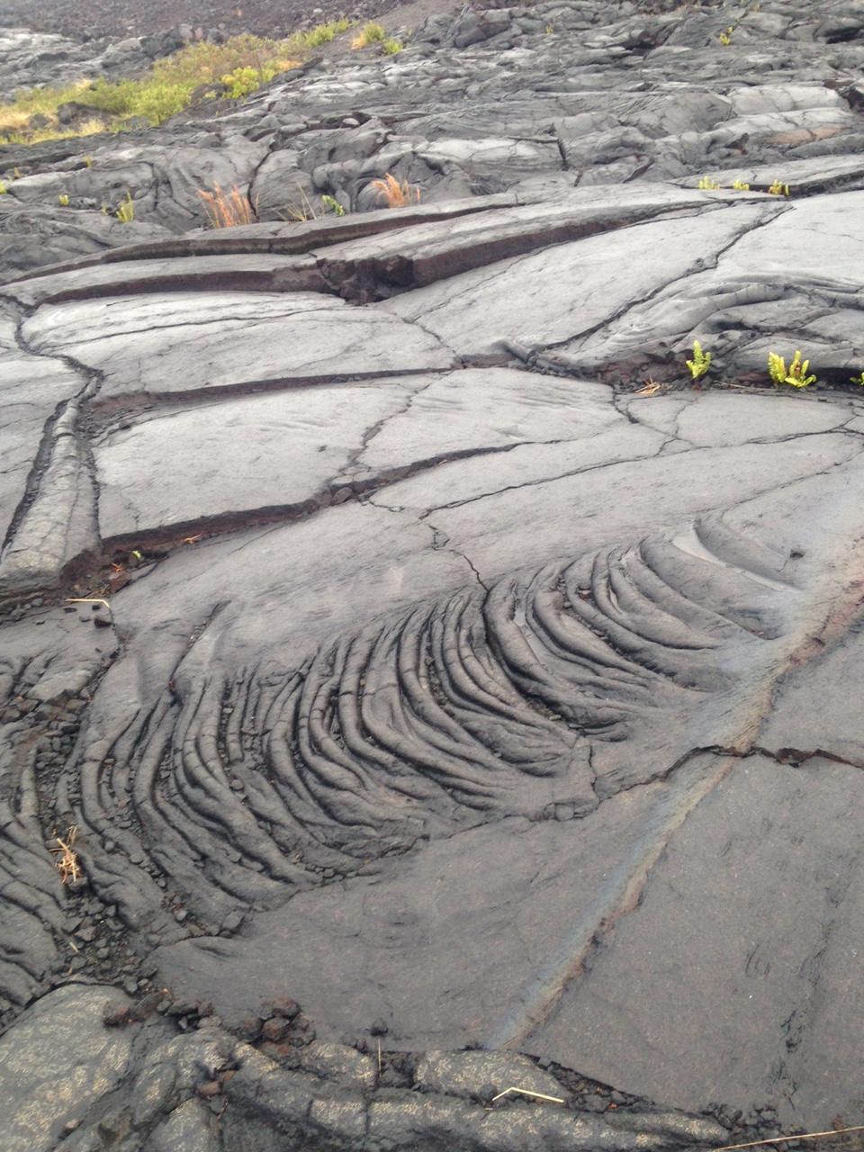 ハワイ火山国立公園 - ハワイ島のおすすめ観光地・名所 | 現地を知り
