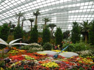 ガーデンズ バイ ザ ベイ シンガポールのおすすめ観光地 名所 現地を知り尽くしたガイドによる口コミ情報 トラベルコ