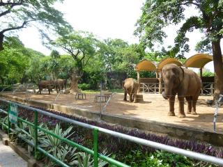 ホーチミン ベトナム のおすすめ動物園 水族館 植物園 現地を知り尽くしたガイドによる口コミ情報 トラベルコ