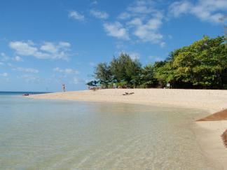 グリーン島 ケアンズのおすすめ観光地 名所 現地を知り尽くしたガイドによる口コミ情報 トラベルコ