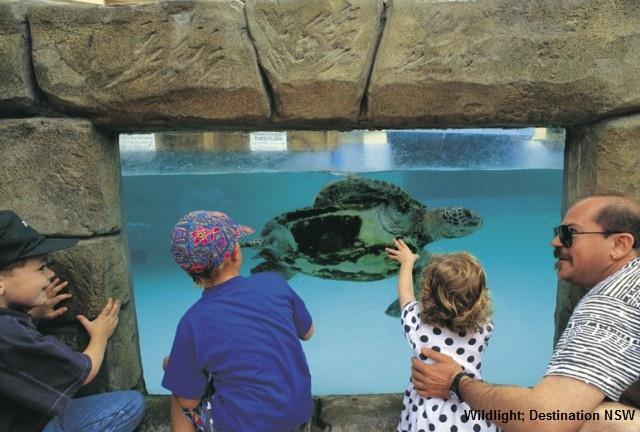 シー ライフ シドニー水族館 シドニーのおすすめ観光地 名所 現地を知り尽くしたガイドによる口コミ情報 トラベルコ