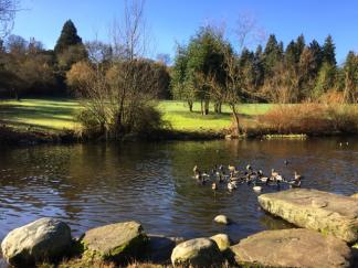 クイーン エリザベス公園 バンクーバーのおすすめ観光地 名所 現地を知り尽くしたガイドによる口コミ情報 トラベルコ