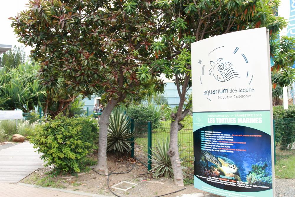 ラグーン水族館 ニューカレドニアのおすすめ観光地 名所 現地を知り尽くしたガイドによる口コミ情報 トラベルコ