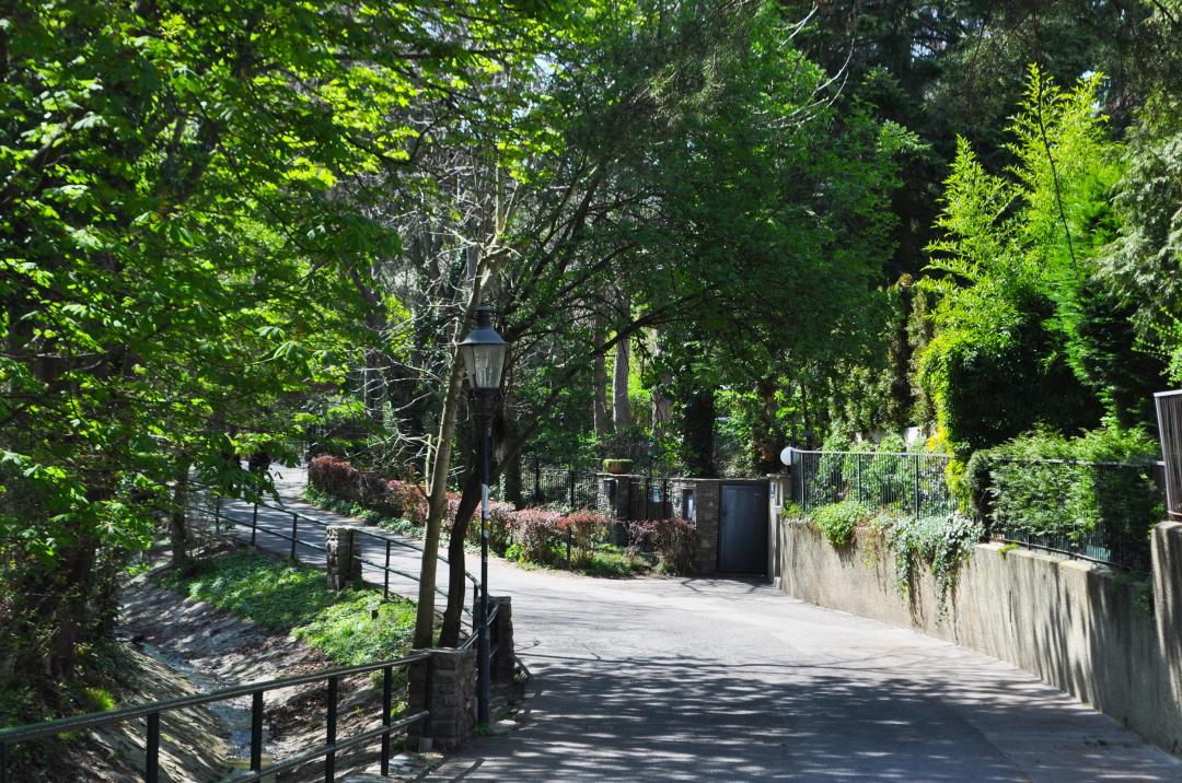ベートーヴェンの散歩道 ウィーンのおすすめ観光地 名所 現地を知り尽くしたガイドによる口コミ情報 トラベルコ