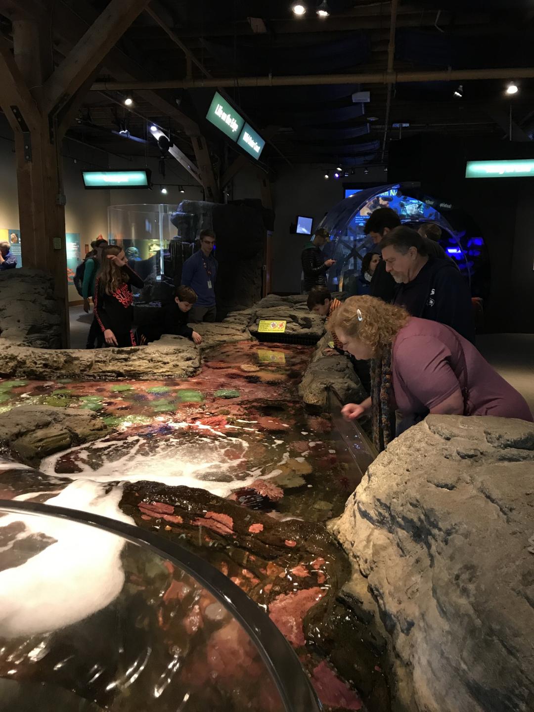 シアトル水族館 シアトルのおすすめ観光地 名所 現地を知り尽くしたガイドによる口コミ情報 トラベルコ