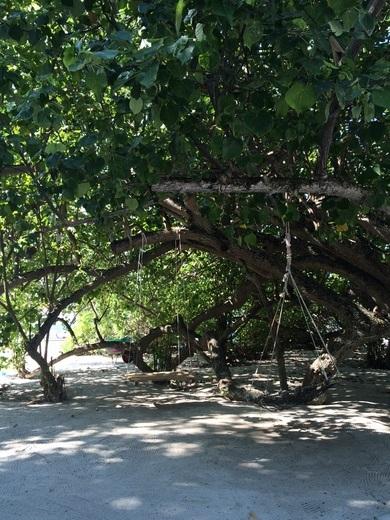 ヴィリンギリ島 モルディブのおすすめ観光地 名所 現地を知り尽くしたガイドによる口コミ情報 トラベルコ