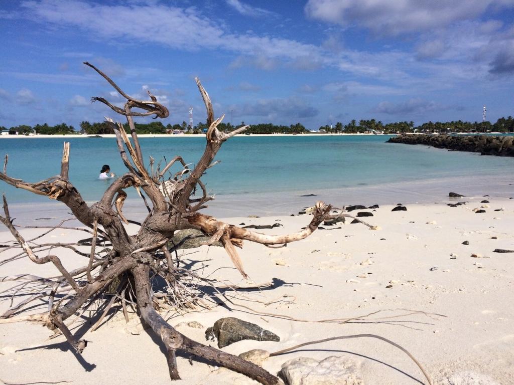 ディッドゥ島 モルディブのおすすめ観光地 名所 現地を知り尽くしたガイドによる口コミ情報 トラベルコ