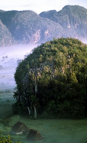 ビニャーレス渓谷 キューバのおすすめ観光地 名所 現地を知り尽くしたガイドによる口コミ情報 トラベルコ