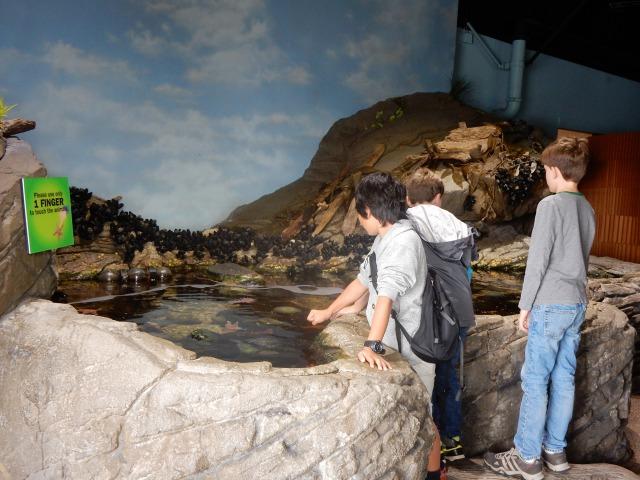 ベイ水族館 サンフランシスコのおすすめ観光地 名所 現地を知り尽くしたガイドによる口コミ情報 トラベルコ