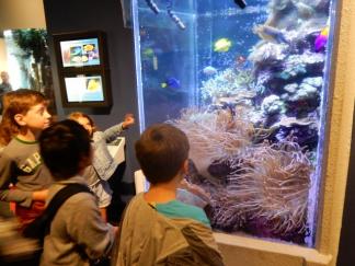 ベイ水族館 サンフランシスコのおすすめ観光地 名所 現地を知り尽くしたガイドによる口コミ情報 トラベルコ