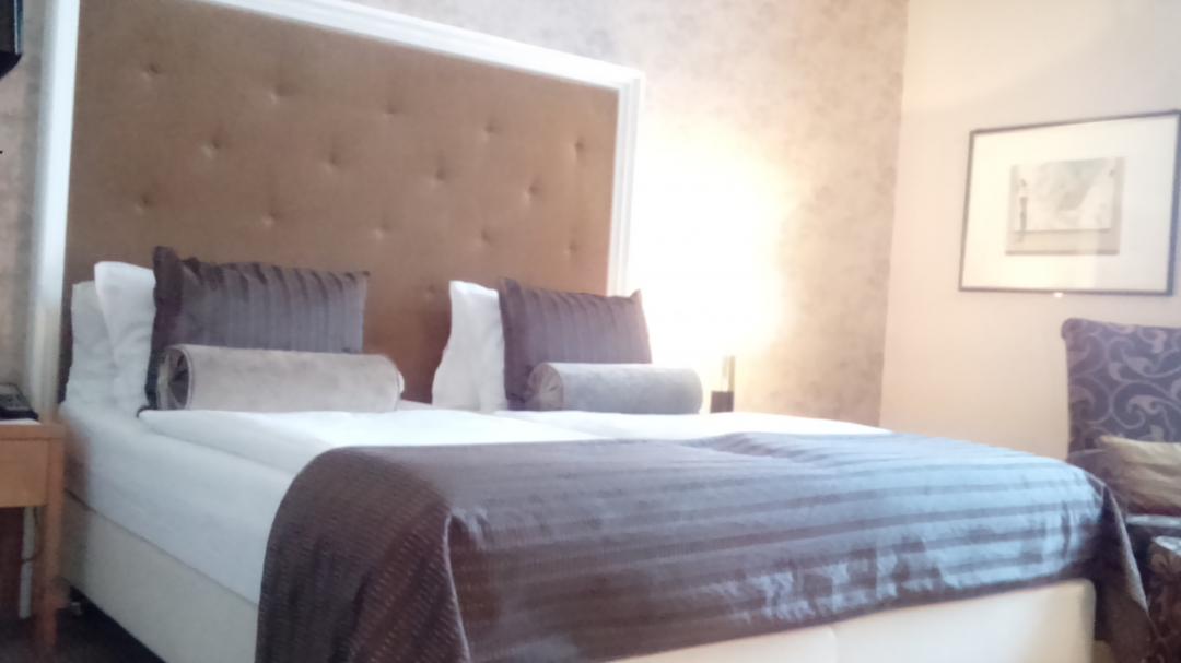 シュタイゲンベルガー アイコン フランクフルター ホフ