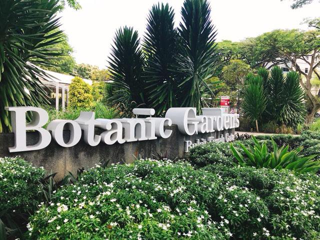 シンガポール植物園 ボタニックガーデン シンガポールのおすすめ観光地 名所 現地を知り尽くしたガイドによる口コミ情報 トラベルコ