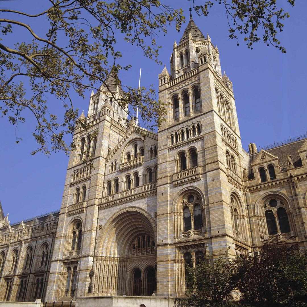 ロンドン自然史博物館 ロンドンのおすすめ観光地 名所 現地を知り尽くしたガイドによる口コミ情報 トラベルコ