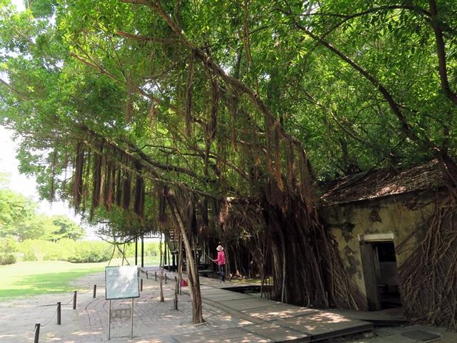 安平樹屋 徳記洋行 台南のおすすめ観光地 名所 現地を知り尽くしたガイドによる口コミ情報 トラベルコ