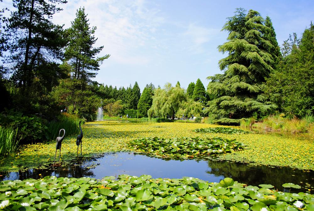 バンデューセン植物園 バンクーバーのおすすめ観光地 名所 現地を知り尽くしたガイドによる口コミ情報 トラベルコ