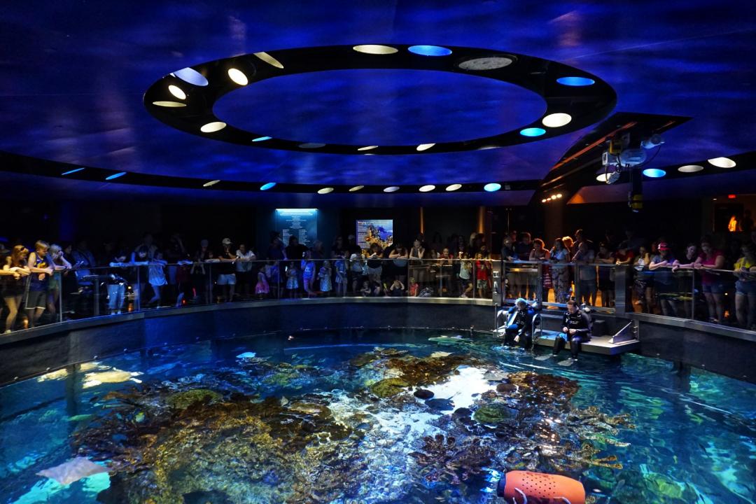 ニューイングランド水族館 ボストンのおすすめ観光地 名所 現地を知り尽くしたガイドによる口コミ情報 トラベルコ