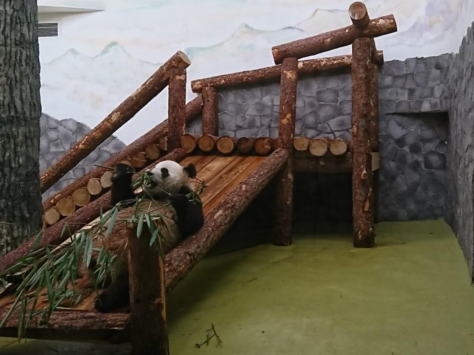モスクワ動物園 モスクワのおすすめ観光地 名所 現地を知り尽くしたガイドによる口コミ情報 トラベルコ