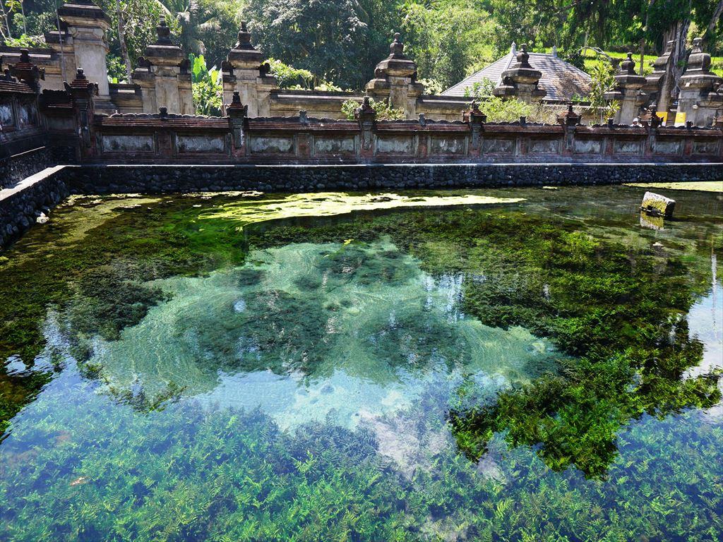 ティルタ ウンプル寺院 バリ島のおすすめ観光地 名所 現地を知り尽くしたガイドによる口コミ情報 トラベルコ