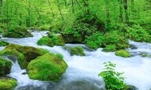 夏でも本当に涼しい場所はどこ？